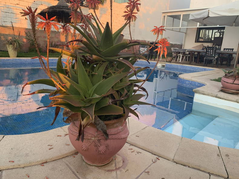 Tutta La Casa Témara 195410-3