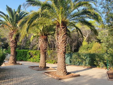 Logement Entier Vallauris 209755-21