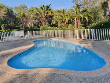 Logement entier à louer à Vallauris - photo 19 : piscine-19