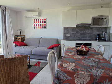 Logement entier à louer à Vallauris - photo 7 : salon-7