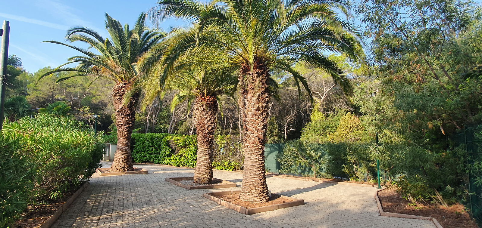 Tutta La Casa Vallauris 209755