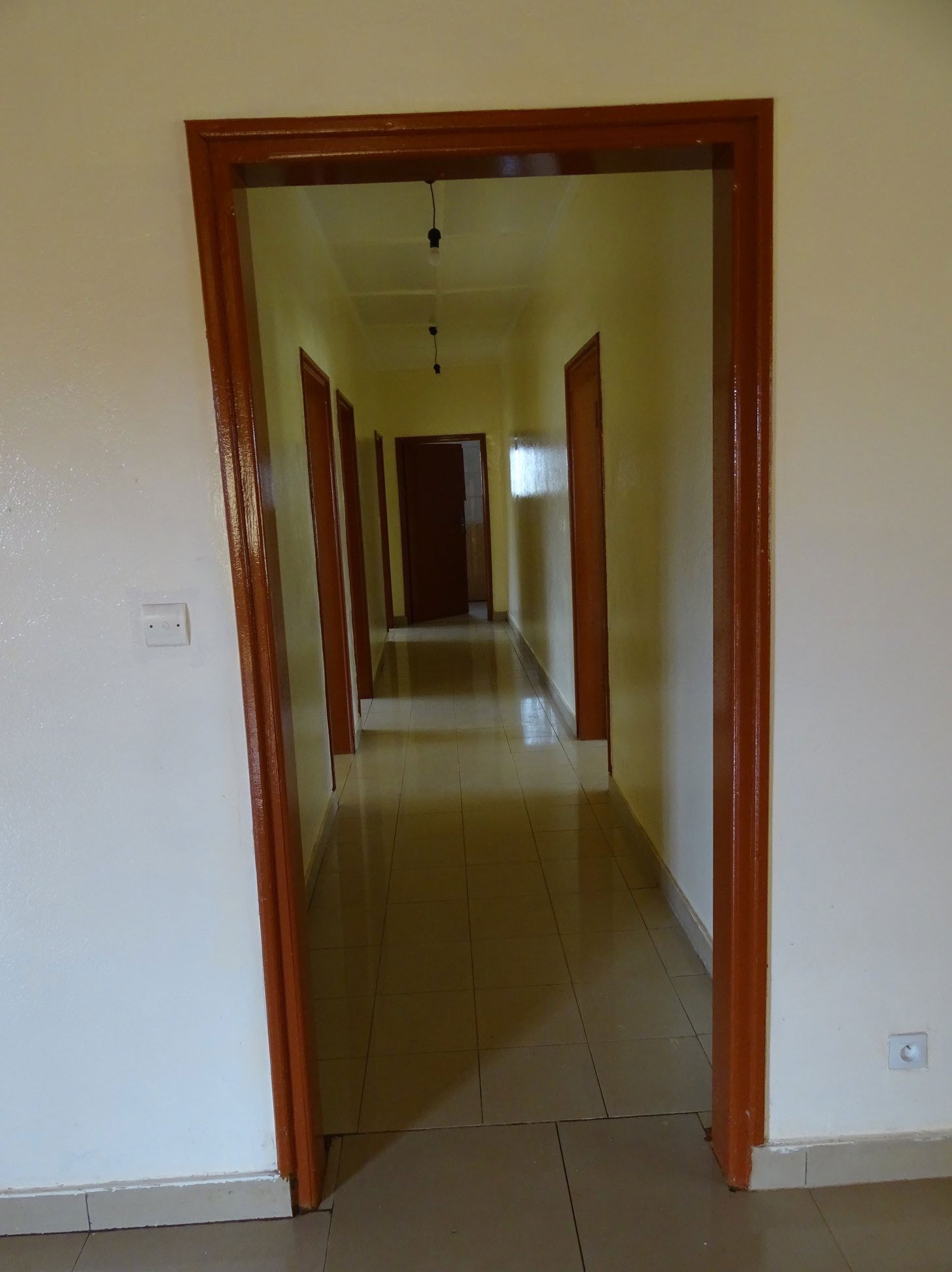 Independent Studio Bangui 229839