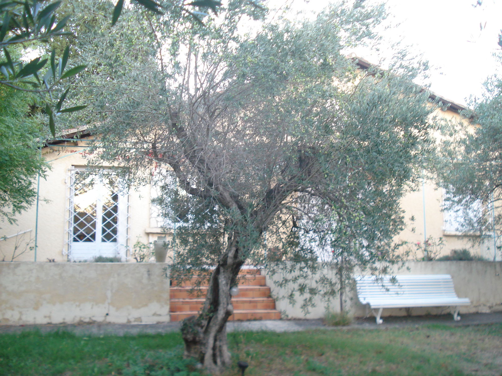 Tutta La Casa Les Angles 77984