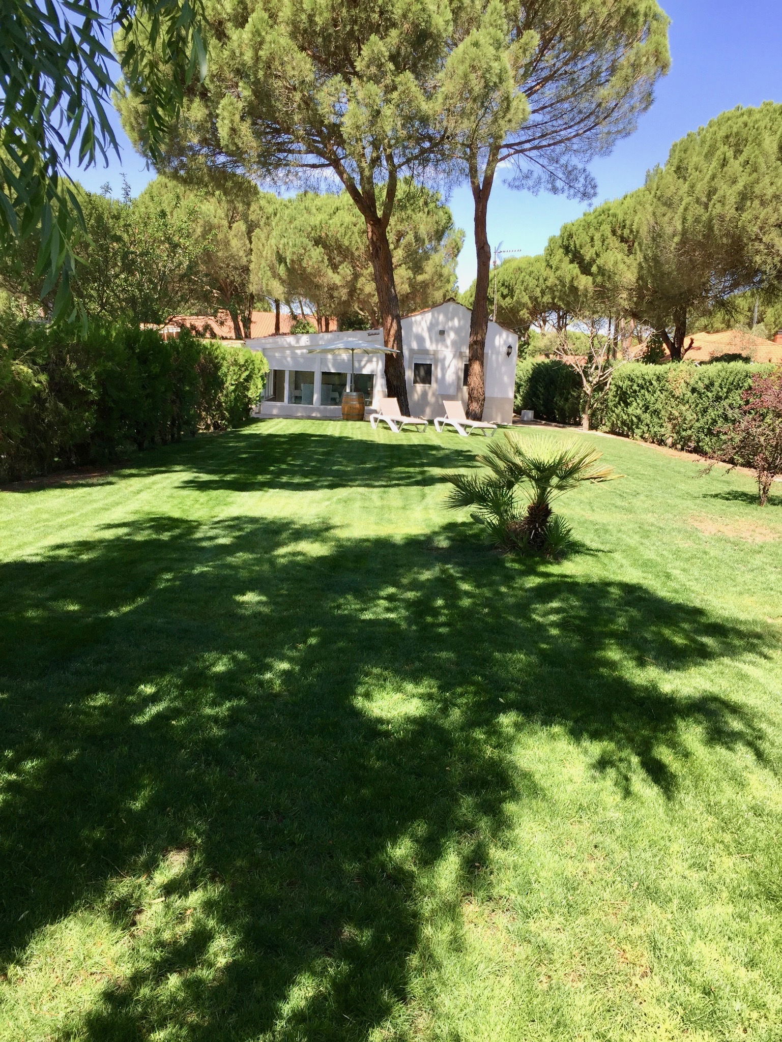 Colocation El Campillo 176912