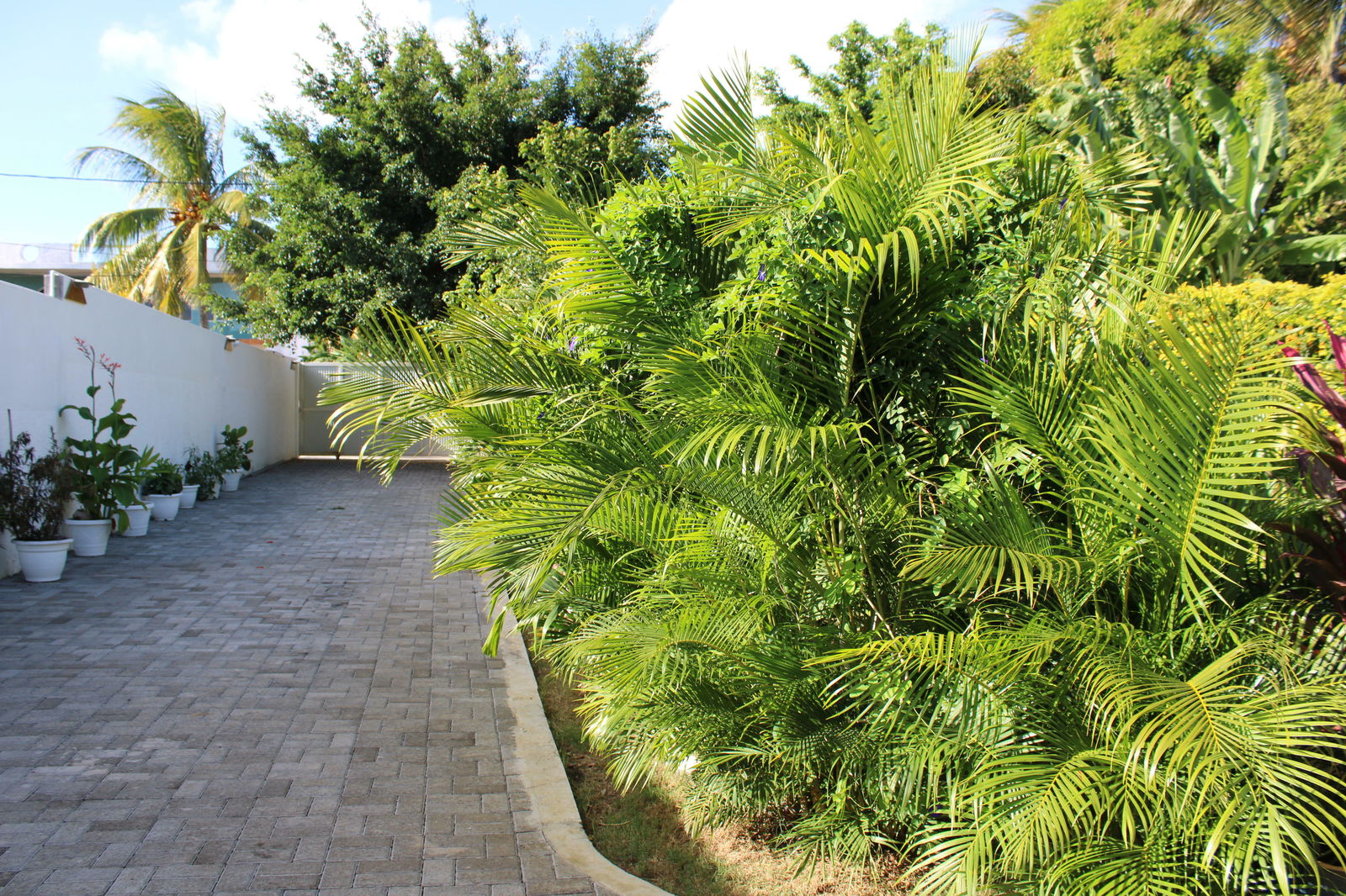 Independent Studio Grand Baie 210669