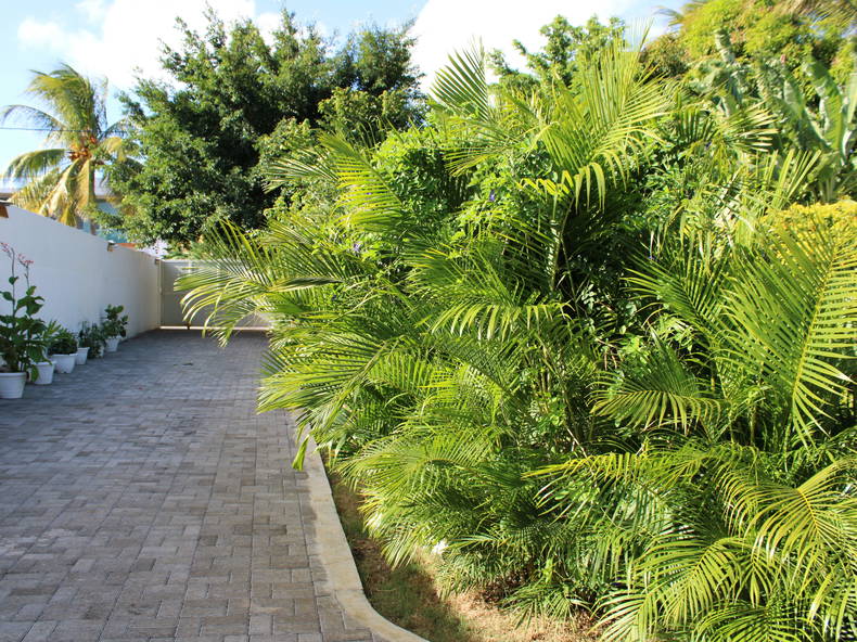 Toda La Casa Grand Baie 210669-2