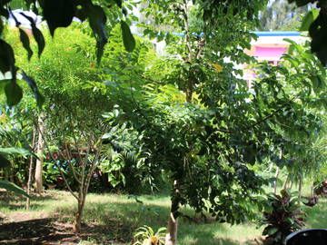 Logement Entier Grand Baie 210669-5