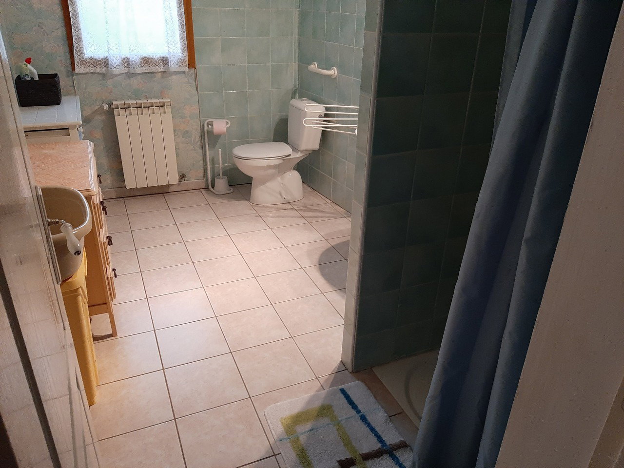 Logement Entier Alleins 670429