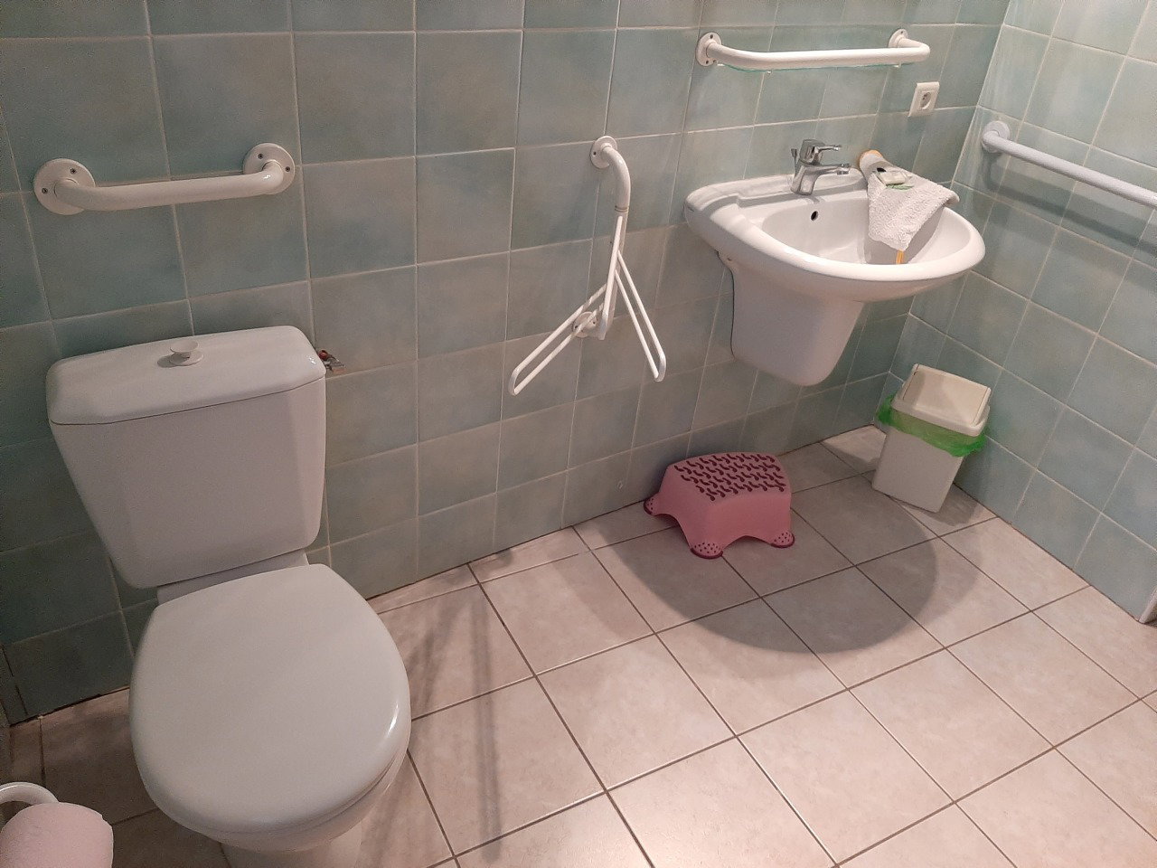 Logement Entier Alleins 670429