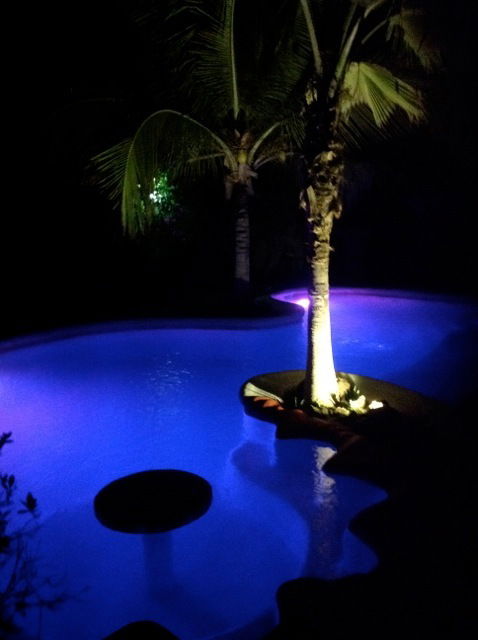 Tutta La Casa Saly 9447