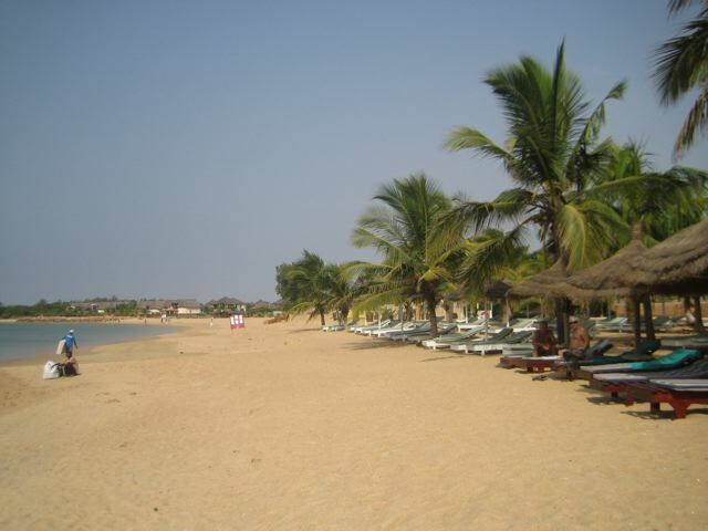 Tutta La Casa Saly 9447