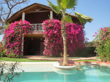 Chambre À Louer Saly 9447