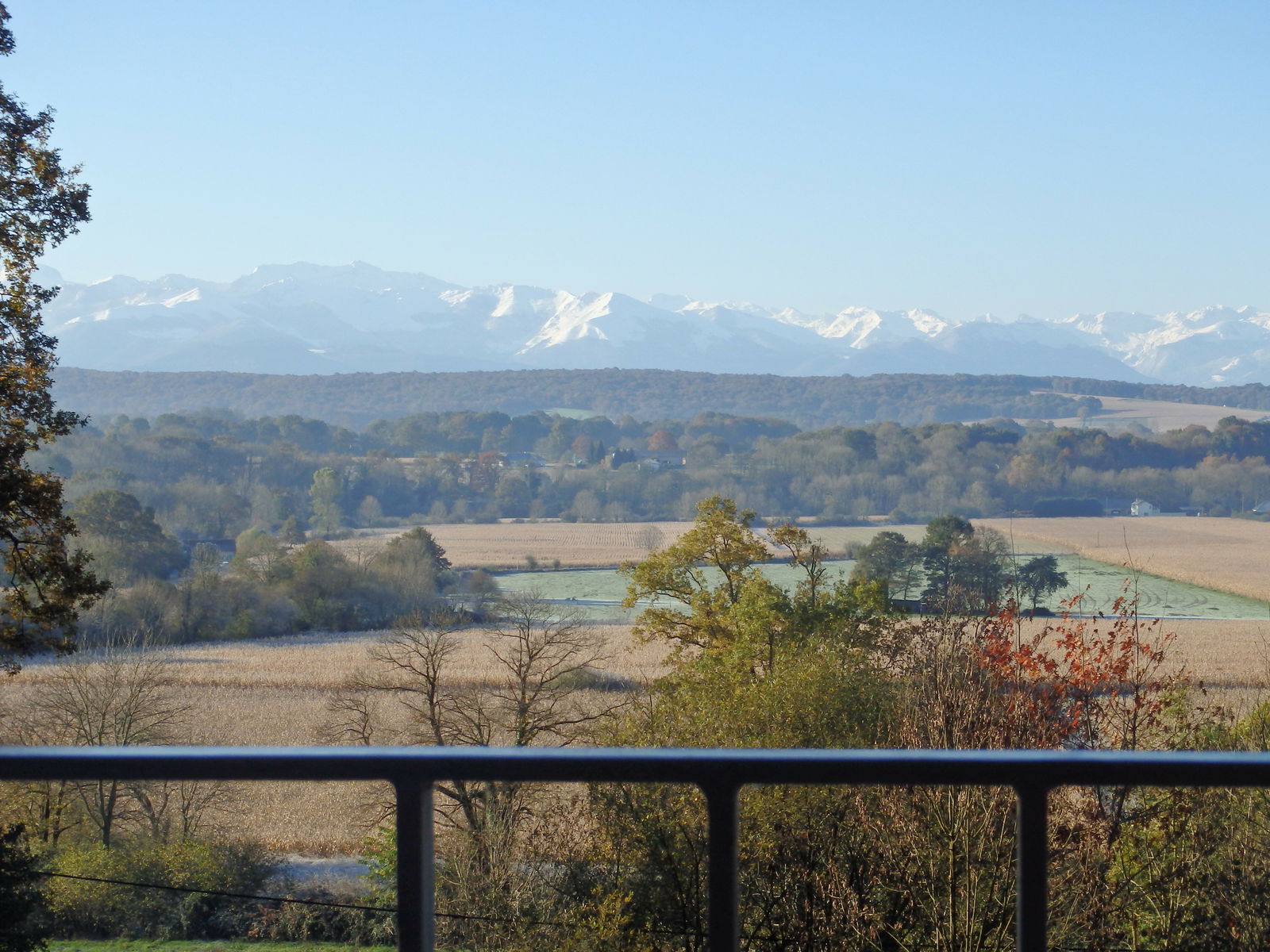 Estudio Independiente Arrien 159316