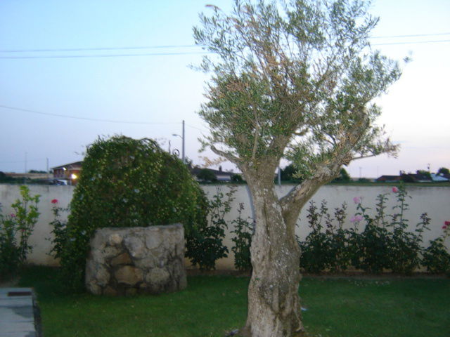 Unabhängiges Studio Calvarrasa de Abajo 112169