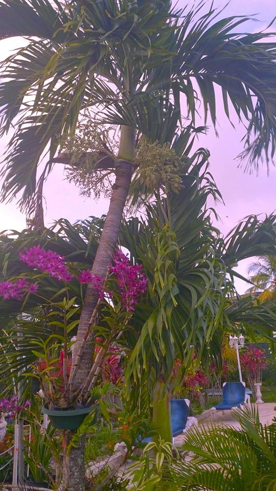 Gastfamilie Sainte-Anne 147333