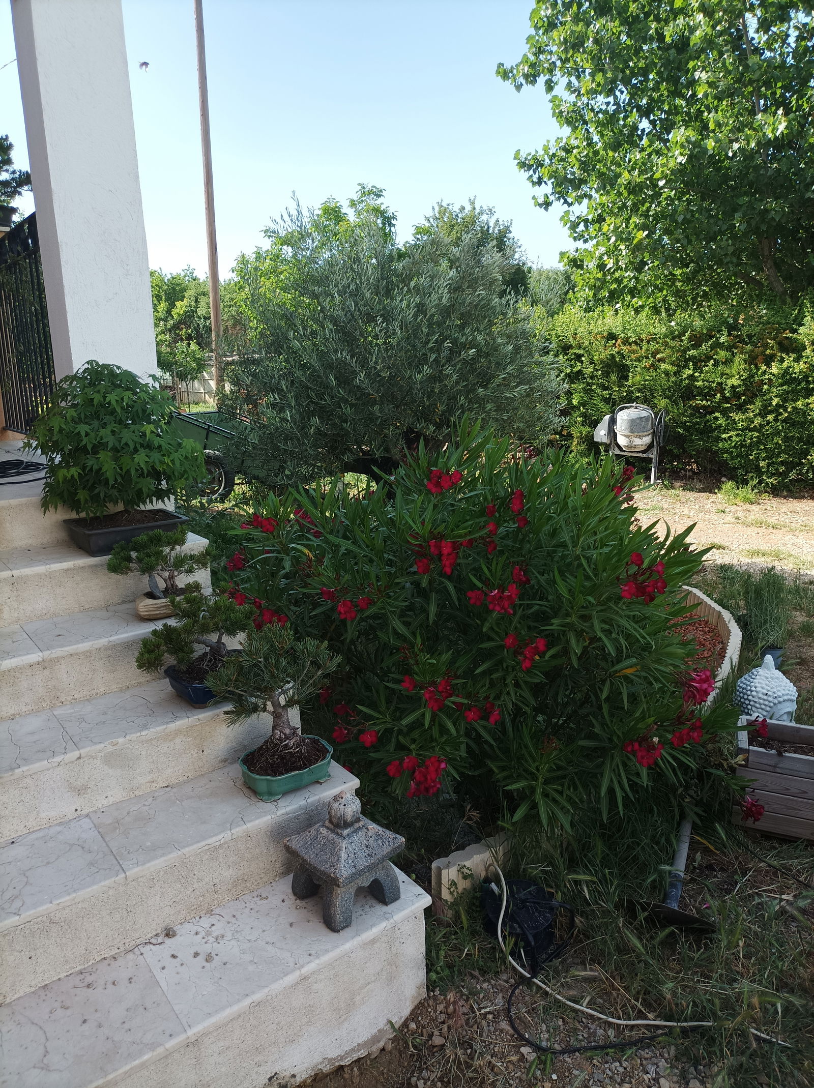 Homestay Régusse 259037