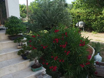 Chambre Chez L'habitant Régusse 259037-7