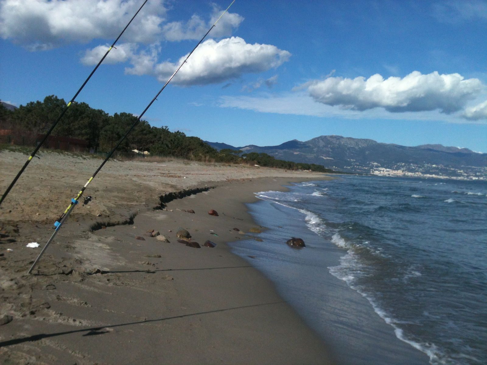 Onafhankelijke Studio Borgo 25843