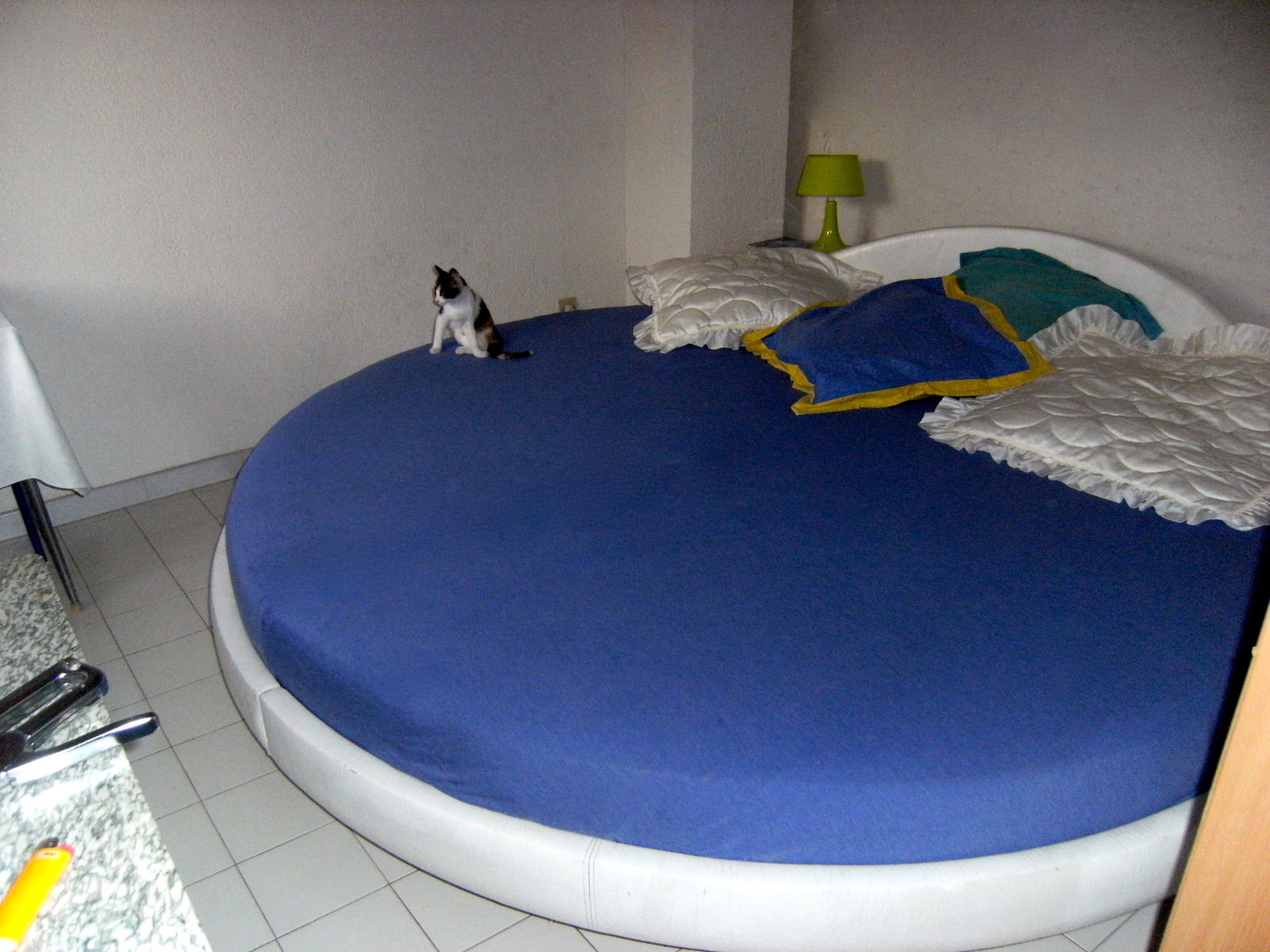 Logement Entier Borgo 25843