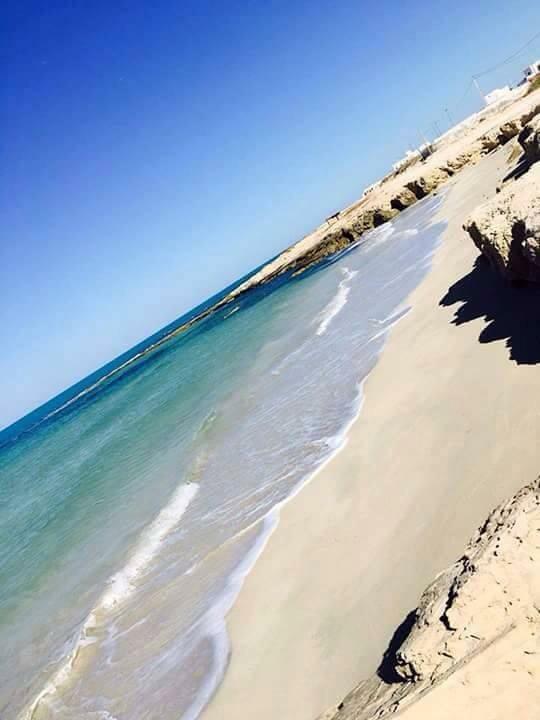 Estúdio Independente Zarzis 132395