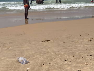 Chambre D'hôte Somone 136502-14