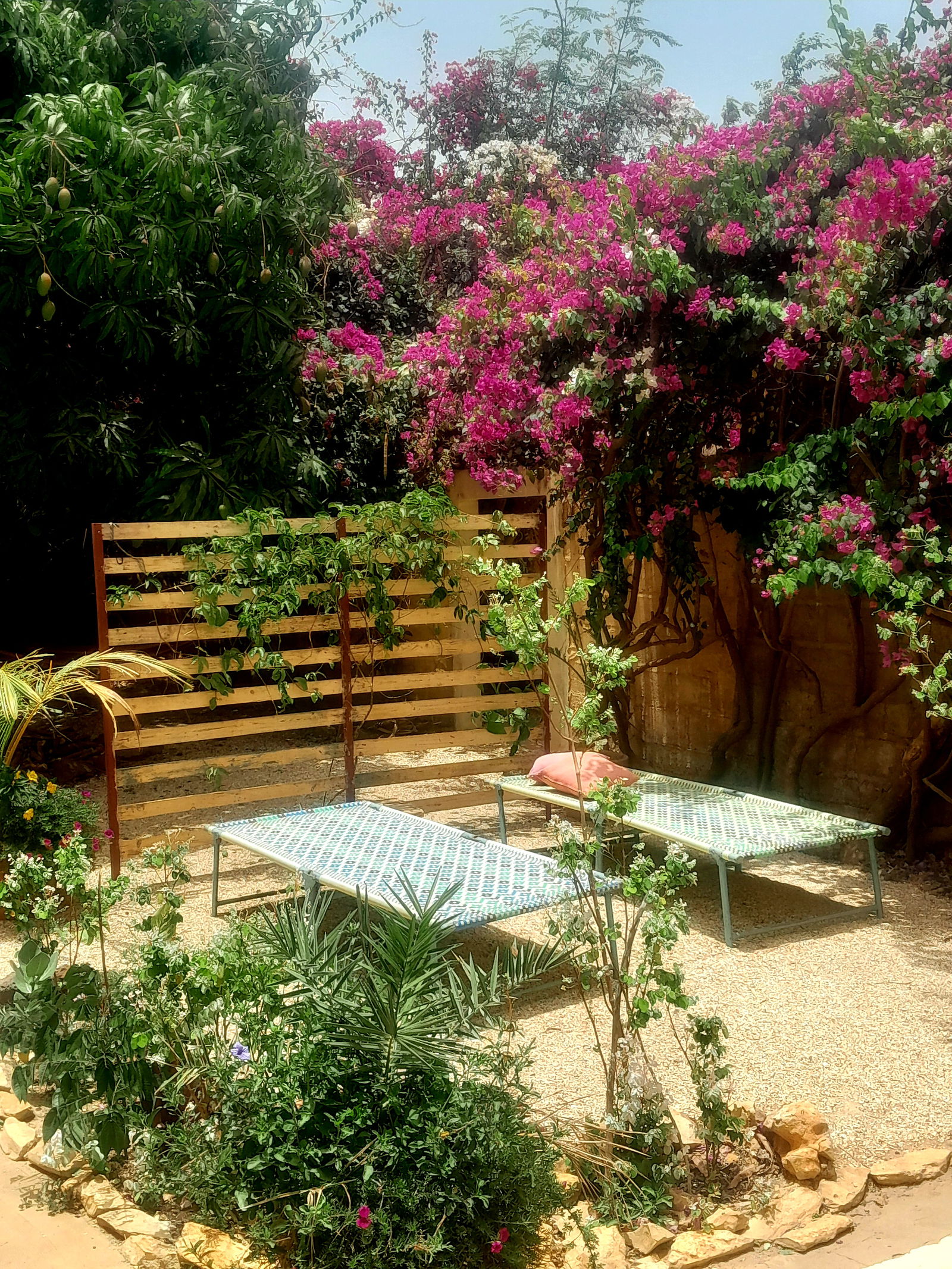 Bed And Breakfast Popenguine 139851