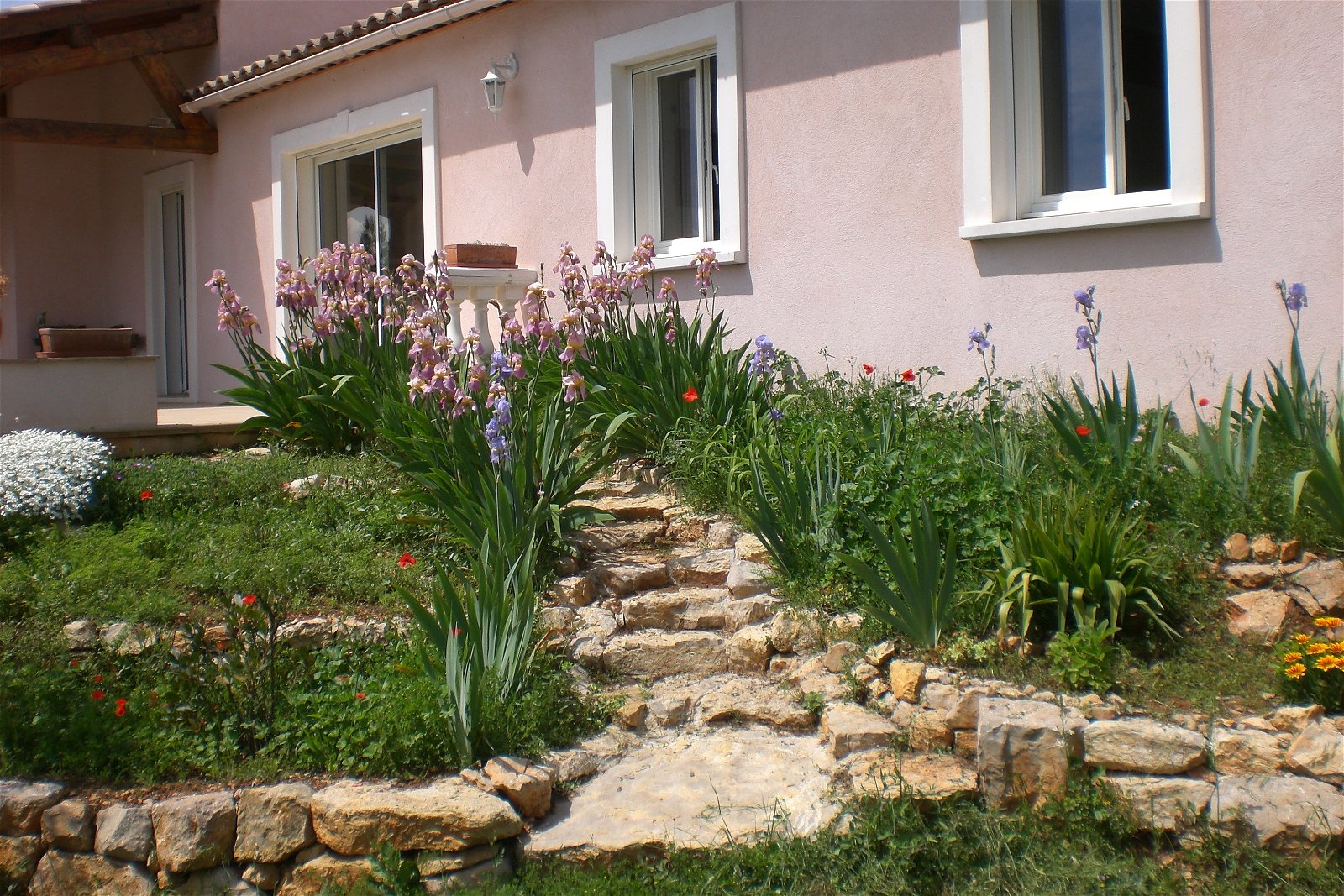 Onafhankelijke Studio Trans-en-Provence 119283