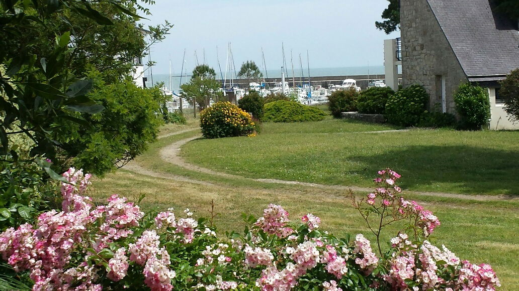 Independent Studio Sarzeau 40869