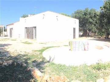 Logement Entier San Vito Dei Normanni 212744-5