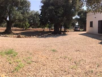 Logement Entier San Vito Dei Normanni 212744-9