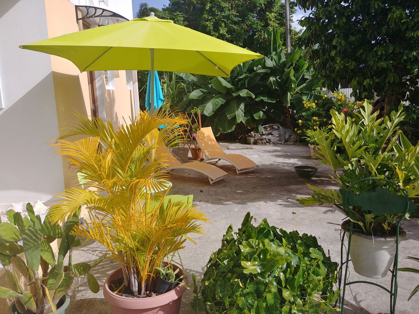 Independent Studio Port-Louis 257368