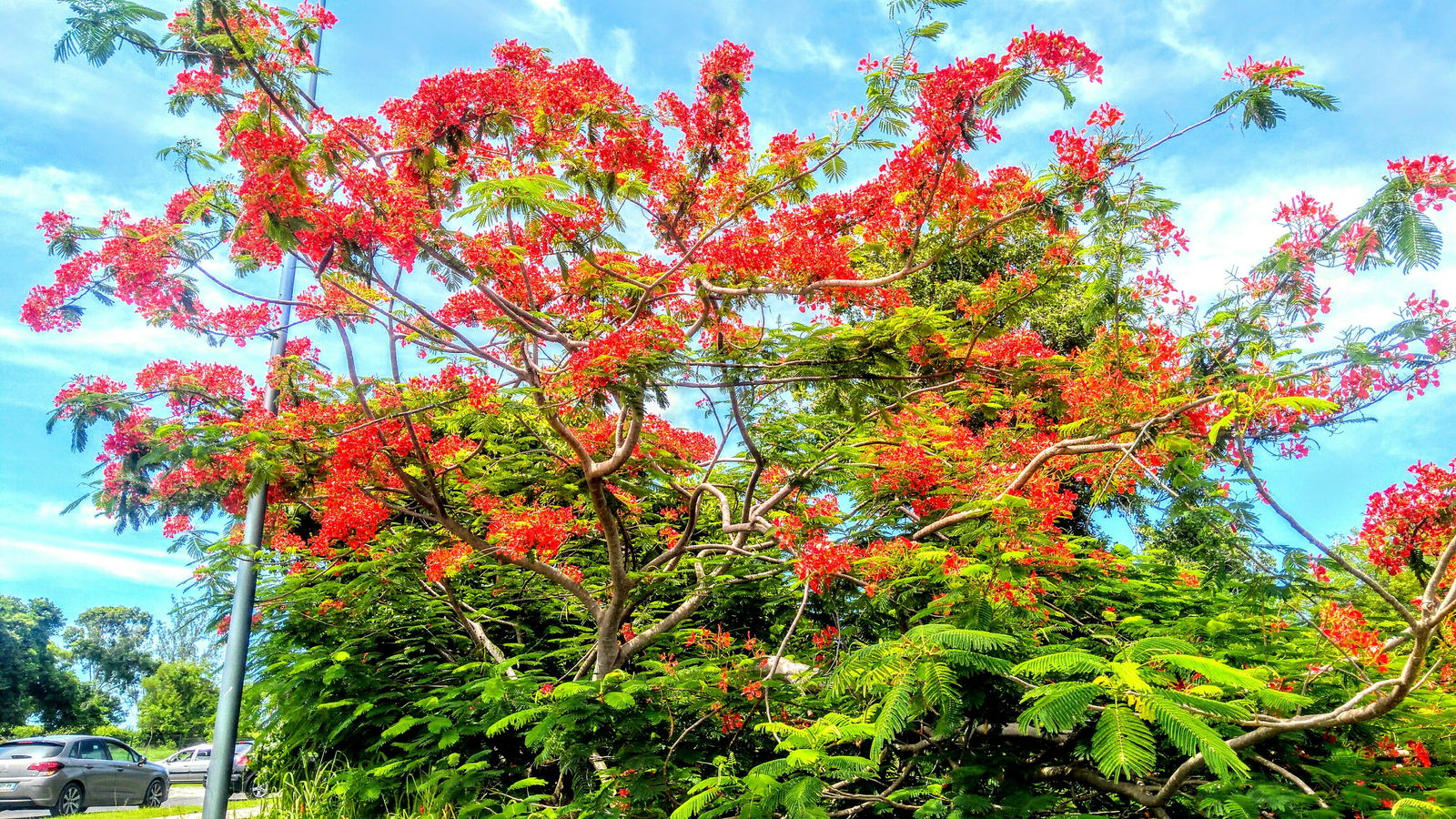 Hela Huset Port-Louis 257368