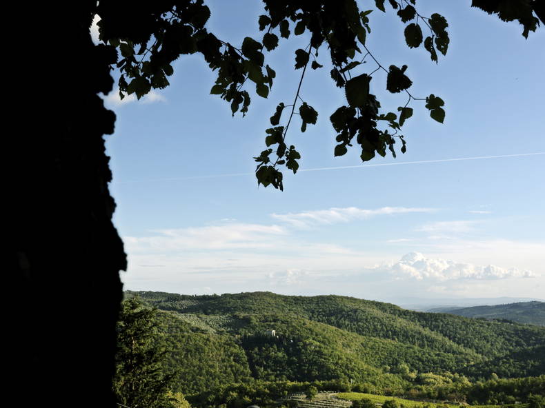 Entire Home Lecchi in Chianti 194461-1