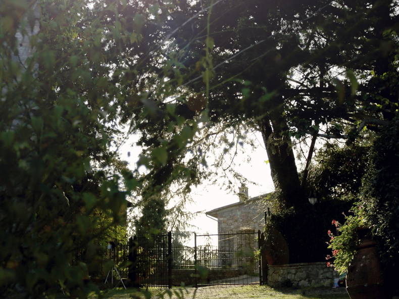 Entire Home Lecchi in Chianti 194461-2