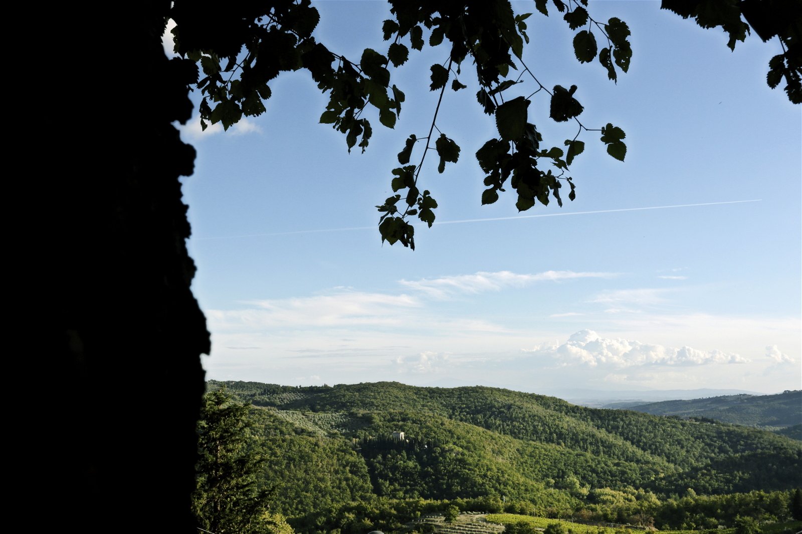 Logement Entier Lecchi in Chianti 194461