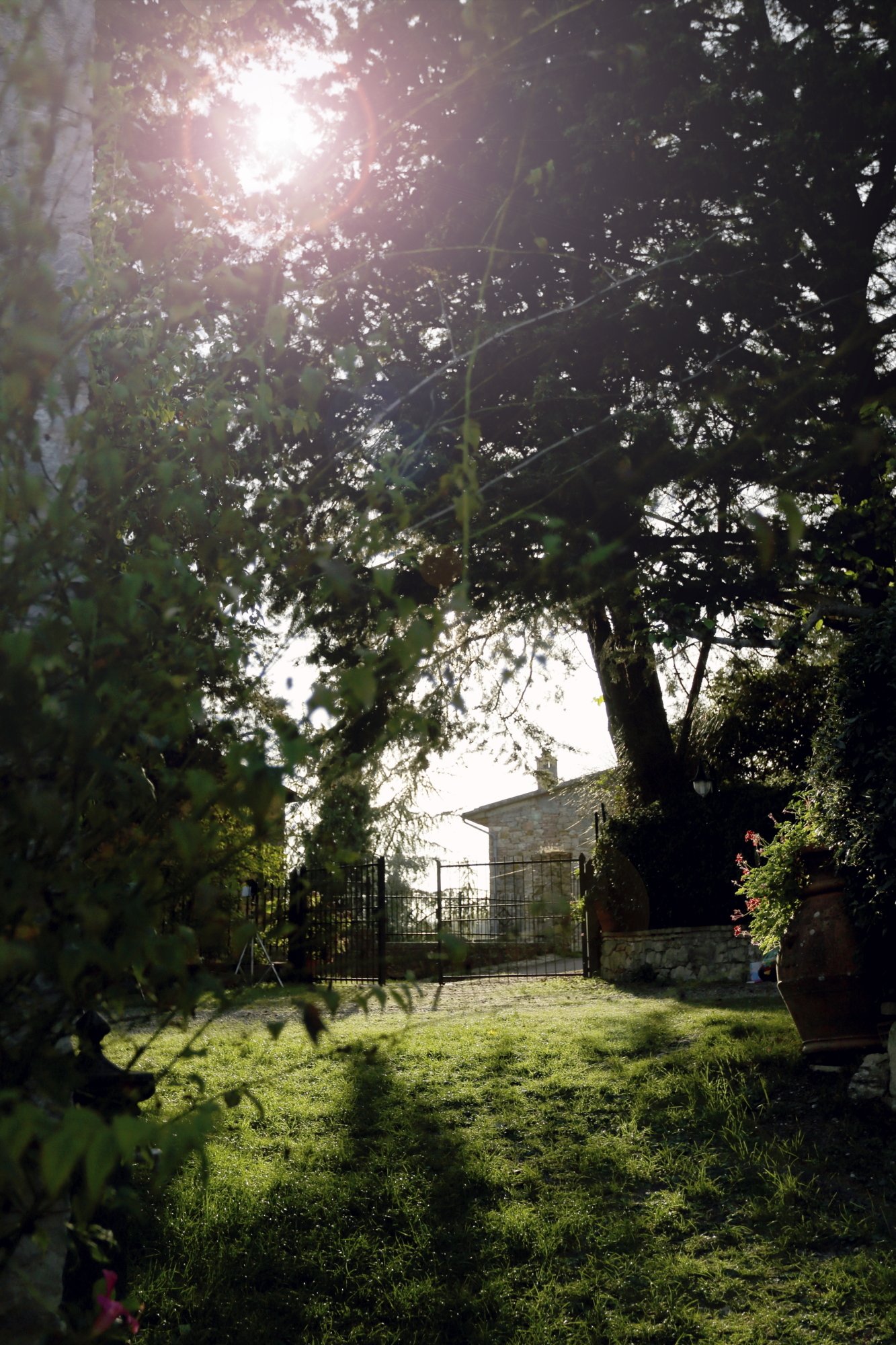 Logement Entier Lecchi in Chianti 194461