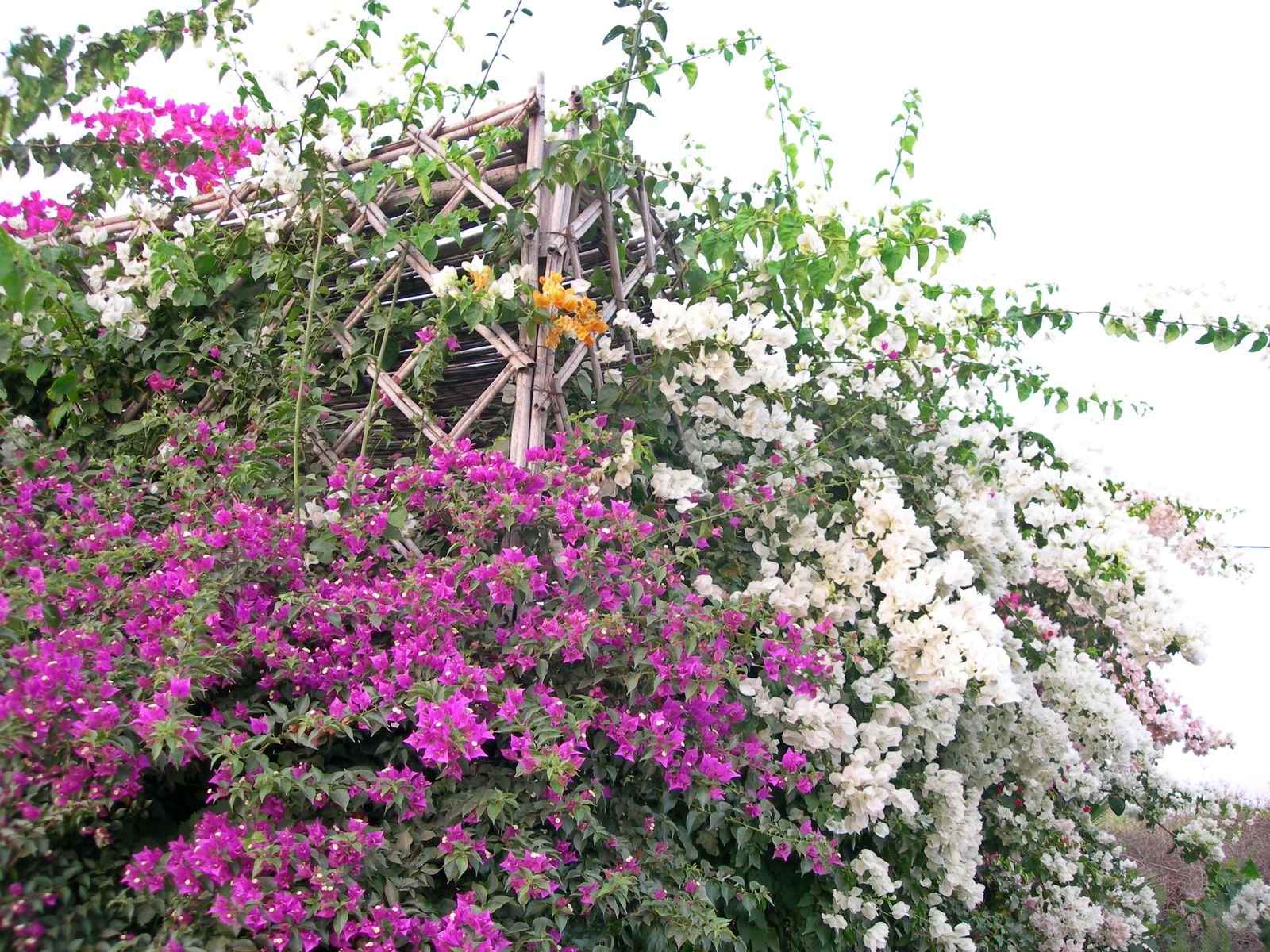 Tutta La Casa Agadir 161508