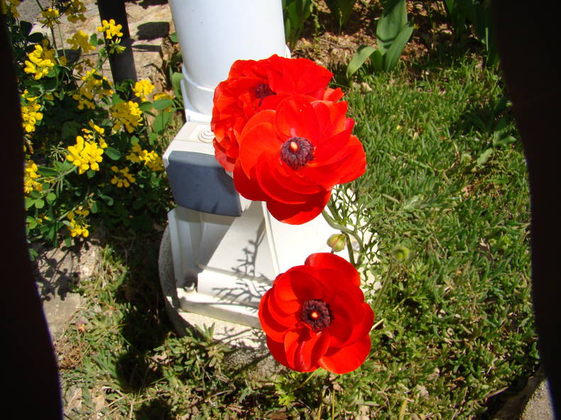 Logement Entier Fayence 101646-2