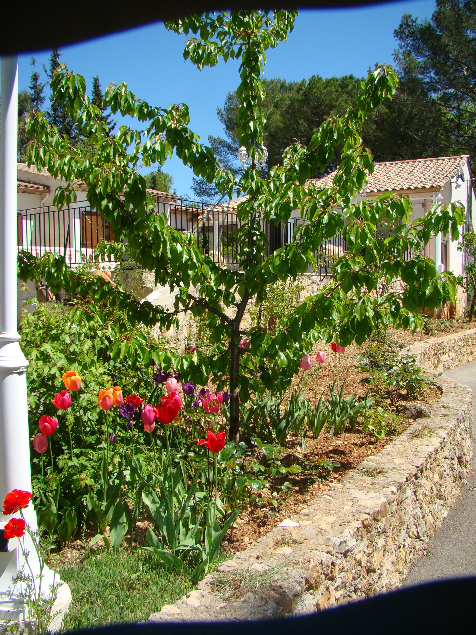 Unabhängiges Studio Fayence 101646