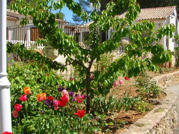 Chambre À Louer Fayence 101646