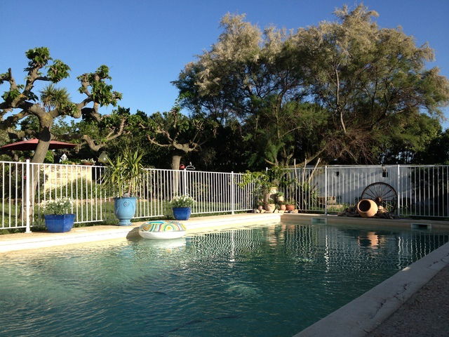 Kolokasie Vestric-et-Candiac 60088