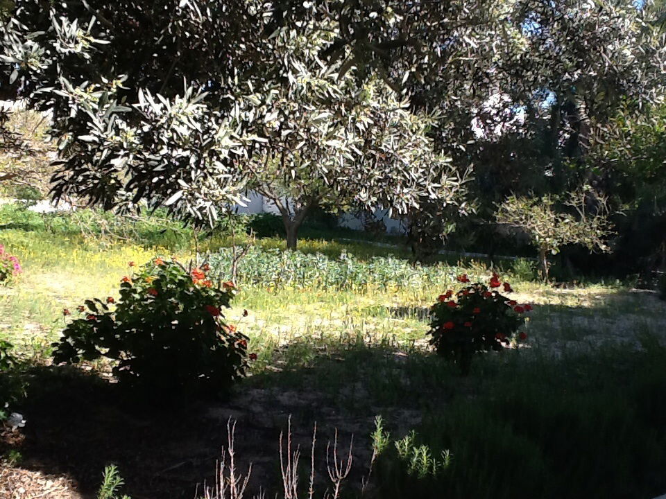 Onafhankelijke Studio Sousse 75298