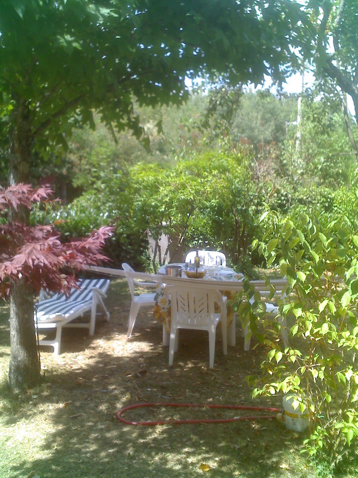 Studio Indépendant Emilia-Romagna 145178