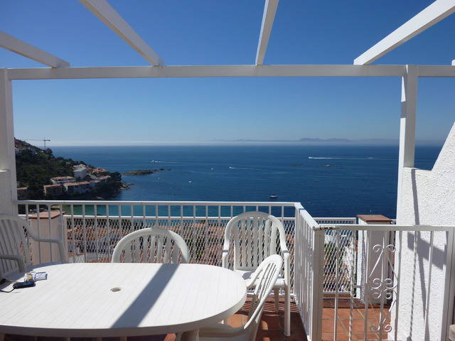 Hela Huset Roses 15655-1