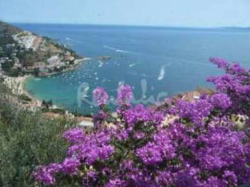 Logement Entier Roses 15655-5