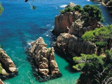 Logement Entier Roses 15655-9