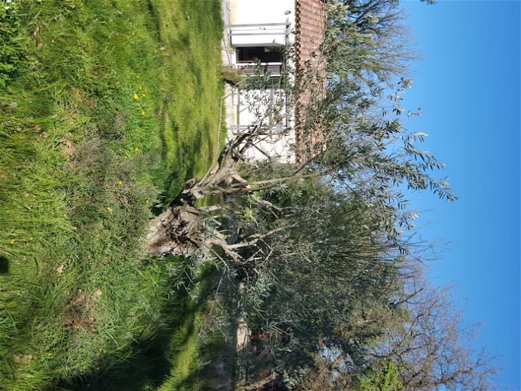 Chambre À Louer Nans-les-Pins 154529