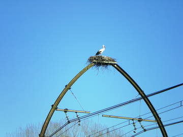 Entire Home Orist 154516-12