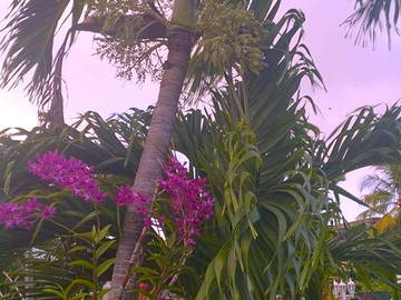 Homestay Sainte-Anne 147333-4