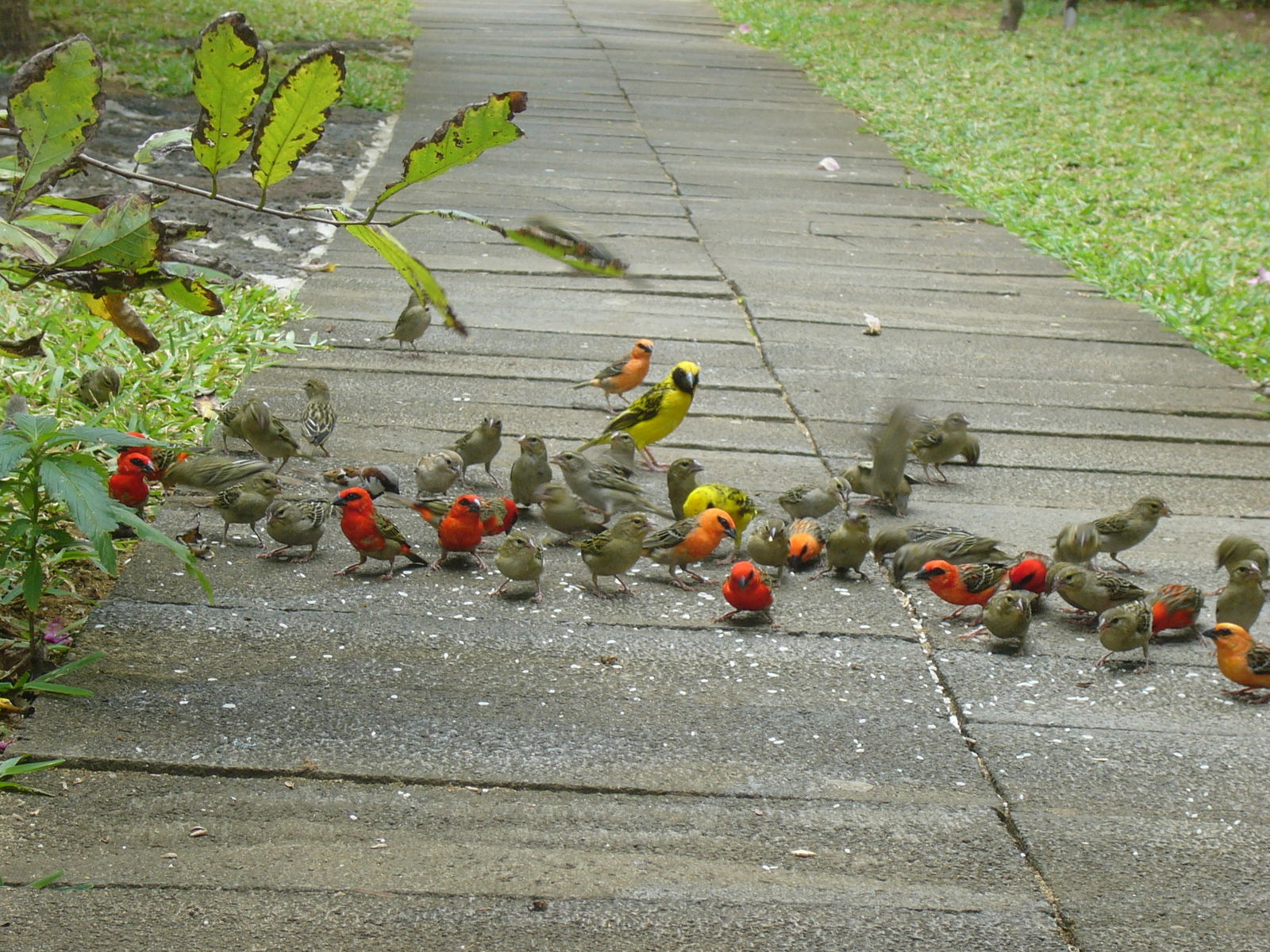 Unabhängiges Studio Pointe d'Esny 49360